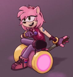 Size: 850x900 | Tagged: safe, artist:literallblue, amy rose, solo
