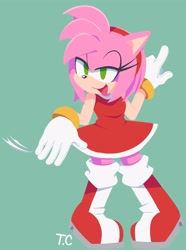 Size: 2231x3000 | Tagged: safe, artist:taiyakichao, amy rose, solo
