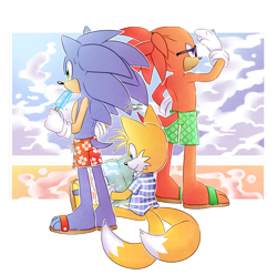 Size: 900x891 | Tagged: safe, artist:danielasdoodles, knuckles the echidna, miles "tails" prower, sonic the hedgehog, summer, trio