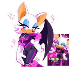 Size: 967x827 | Tagged: safe, artist:danielasdoodles, rouge the bat, sonic prime, reference inset, solo