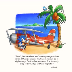 Size: 4096x4096 | Tagged: safe, artist:boiled walrus, flicky, sonic the hedgehog, a life without regrets, beach, daytime, ocean, palm tree, solo, tornado i