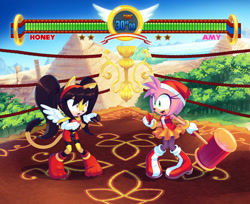 Size: 900x736 | Tagged: safe, artist:drawloverlala, amy rose, honey the cat, abstract background, duo, sonic the fighters