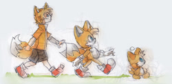 Size: 900x440 | Tagged: artist needed, source needed, safe, miles "tails" prower, chao, fox, human, evolution, grass, humanized, looking ahead, looking up, mouth open, tails chao, trio, walking