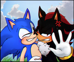 Size: 768x645 | Tagged: safe, artist:cinam103, shadow the hedgehog, sonic the hedgehog, 2018, abstract background, annoyed, blushing, chest fluff, clenched teeth, clouds, cross popping vein, duo, frown, gay, grass, hand up, lidded eyes, looking at them, looking at viewer, male, males only, one eye closed, selfie, shadow x sonic, shipping, standing