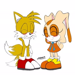 Size: 2032x2048 | Tagged: safe, artist:cpj2002, cream the rabbit, miles "tails" prower, blushing, duo, signature, simple background