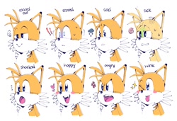 Size: 1630x1114 | Tagged: safe, artist:re30103, miles "tails" prower, clouds, expression sheet, frown, heart, lidded eyes, open mouth, simple background, smile, solo, sparkle, sweat, text, white background, wink