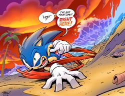 Size: 2048x1582 | Tagged: safe, artist:tracy yardley, artist:yardleyart, sonic the hedgehog, hedgehog, sonic the hedgehog 175 (archie), beach, clouds, dialogue, peelout, redraw, solo, sunset