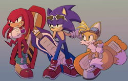 Size: 1280x814 | Tagged: safe, artist:verocitea, knuckles the echidna, miles "tails" prower, sonic the hedgehog, echidna, fox, hedgehog, clenched fist, extreme gear, goggles, grey background, hand on hip, lidded eyes, looking offscreen, simple background, sonic riders, sunglasses, team sonic, trio