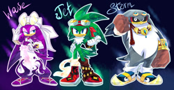Size: 1243x643 | Tagged: safe, artist:y-firestar, jet the hawk, storm the albatross, wave the swallow, albatross, bird, swallow, abstract background, babylon rogues, boots, clenched fist, female, goggles, hawk, male, neck fluff, necklace, redesign, scarf, sunglasses, trio