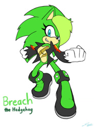 Size: 900x1220 | Tagged: safe, artist:sonicdnb, scourge the hedgehog, hedgehog, boots, clenched fist, clenched teeth, gender swap, hair over one eye, jacket, looking at viewer, simple background, solo, white background