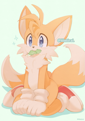 Size: 493x700 | Tagged: safe, artist:iiimirai, miles "tails" prower, fox, blue background, cute, gloves, large ears, leaf, looking offscreen, mouth hold, shoes, simple background, sitting, socks, solo, sparkles, tailabetes