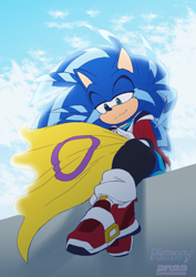 Size: 1240x1748 | Tagged: safe, artist:nowykowski, sonic the hedgehog, hedgehog, clouds, flag, intersex pride, lidded eyes, long socks, looking at something, redesign, shoes, signature, sitting, smile, socks, solo