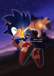 Size: 1096x1538 | Tagged: safe, artist:bulletstations, sonic the hedgehog, hedgehog, looking at viewer, nighttime, solo, sonic and the secret rings