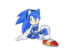 Size: 600x450 | Tagged: safe, artist:k3llywolfarts, sonic the hedgehog, oc, oc:kelly the hedgehog, hedgehog, crop top, gender swap, gloves, headband, looking offscreen, shoes, shorts, simple background, sitting, smile, socks, solo, transparent background, watermark