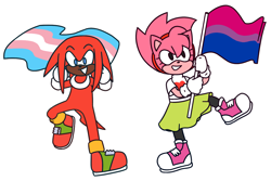 Size: 1230x822 | Tagged: dead source, safe, artist:aatroxvaux, amy rose, knuckles the echidna, echidna, hedgehog, bisexual pride, cape, clenched teeth, duo, flag, holding something, simple background, smile, standing on one leg, trans pride, white background