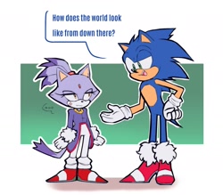 Size: 2010x1761 | Tagged: safe, artist:spidercheetos_, blaze the cat, sonic the hedgehog, cat, hedgehog, annoyed, dialogue, duo, female, height difference, male, short