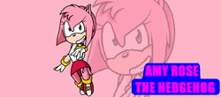 Size: 1058x464 | Tagged: safe, artist:thecarebeargirl, amy rose, hedgehog, alternate universe, female, ms paint, personality swap, solo