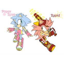 Size: 1280x1280 | Tagged: safe, artist:jesterjane, oc, oc:poppy rose, oc:rapid the hedgehog, hedgehog, duo, fankid, female, male, parent:amy, parent:sonic, parents:sonamy, siblings, simple background, white background