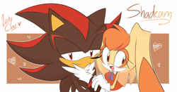 Size: 1280x672 | Tagged: safe, artist:luckyclau, cream the rabbit, shadow the hedgehog, hedgehog, rabbit, age difference, aged up, duo, female, male, outline, shadcream, shipping, straight