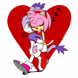 Size: 1024x1024 | Tagged: safe, artist:tnmatt, amy rose, blaze the cat, cat, hedgehog, abstract background, amy x blaze, duo, eyes closed, heart, holding them, lesbian, looking at viewer, mouth open, riding on back, signature, sleeping, smile, walking, zzz