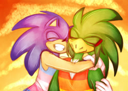 Size: 1024x728 | Tagged: safe, artist:milk-green-tea, jet the hawk, sonic the hedgehog, bird, hedgehog, blushing, clenched teeth, clouds, duo, eyes closed, gay, gay pride, gloves, hawk, hugging, shipping, smile, sonjet, sunset, trans boy sonic, trans male, trans pride, transgender