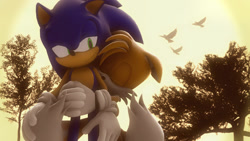 Size: 1024x576 | Tagged: safe, artist:shadamyfan4evers, miles "tails" prower, sonic the hedgehog, bird, fox, hedgehog, 3d, duo, eyes closed, floppy ears, gay, gloves, holding them, lidded eyes, looking at them, sfm, shipping, smile, sonic x tails, standing, sunset, tree