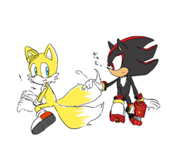 Size: 600x562 | Tagged: safe, artist:mas2a, miles "tails" prower, shadow the hedgehog, fox, hedgehog, duo, exclamation mark, fluffy, frown, gay, holding tail, japanese text, looking at them, male, males only, mouth open, shadails, shipping, simple background, sitting, surprised, white background