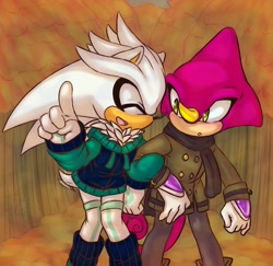 Size: 1600x1554 | Tagged: safe, artist:asb-fan, espio the chameleon, silver the hedgehog, hedgehog, arm in arm, blushing, chameleon, coat, duo, eyes closed, gay, gloves, hoodie, long socks, looking at them, mouth open, pointing, scarf, shipping, silvio, walking