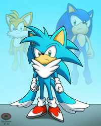 Size: 1024x1280 | Tagged: safe, artist:moon-phantom, miles "tails" prower, sonic the hedgehog, oc, hybrid, blue fur, flying, frown, fusion:sonic, fusion:tails, gloves, hedgefox, looking at viewer, red shoes, shoes, socks, standing, trio, two tails, white fur
