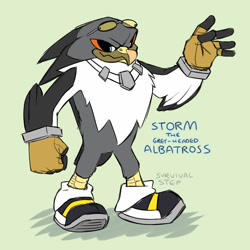 Size: 1280x1281 | Tagged: safe, artist:survivalstep, storm the albatross, albatross, bird, clenched fist, fingerless gloves, green background, looking at viewer, male, necklace, redesign, shoes, simple background, smile, socks, solo, sunglasses, waving