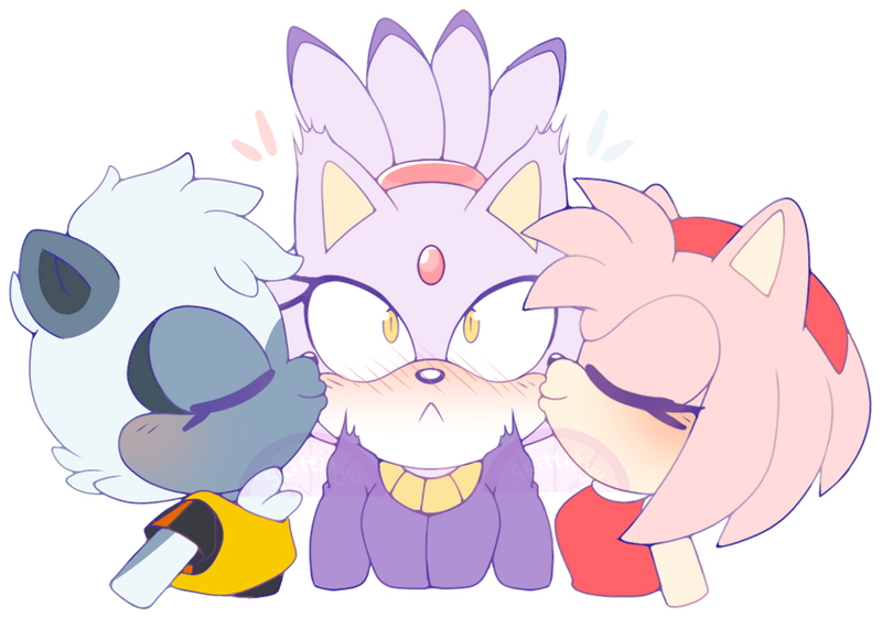 165556 - safe, artist:mobianjelly, amy rose (sonic), blaze the cat