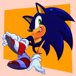 Size: 2500x2500 | Tagged: safe, artist:zombieeparty, sonic the hedgehog, hedgehog, looking at viewer, solo