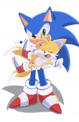 Size: 1200x1852 | Tagged: safe, artist:sakura_2739, miles "tails" prower, sonic the hedgehog, fox, hedgehog, carrying them, clenched fists, crying, duo, frown, looking at them, mouth open, signature, simple background, standing, tears, white background