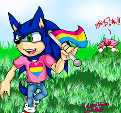 Size: 3360x3150 | Tagged: safe, artist:mslunarumbreon, amy rose, sonic the hedgehog, hedgehog, angry, bush, censored, clouds, duo, ear fluff, exclamation mark, flag, gloves, gloves off, grass, heart, holding something, looking offscreen, mouth open, pansexual pride, pants, red sclera, shoes, smile, socks, tshirt, walking