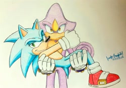 Size: 2160x1504 | Tagged: safe, artist:jennsterjay, espio the chameleon, sonic the hedgehog, hedgehog, lizard, carrying them, chameleon, duo, frown, gay, gloves, lidded eyes, looking at viewer, pencilwork, shipping, shoes, signature, simple background, smile, socks, sonespio, standing