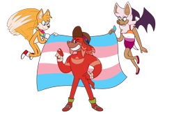 Size: 2566x1690 | Tagged: safe, artist:astral_clefairy, knuckles the echidna, miles "tails" prower, rouge the bat, bat, echidna, fox, bandana, clenched fist, clenched teeth, flag, flying, hand on hip, hat, headcanon, holding something, lesbian, one fang, pansexual pride, pride, simple background, smile, spinning tails, standing, trans female, trans male, trans pride, transgender, transparent background, trio, wink
