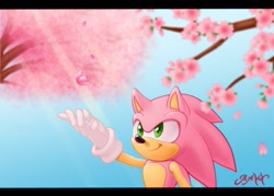 Size: 1200x860 | Tagged: safe, artist:rawn89, sonic the hedgehog, oc, oc:sakura sonic, hedgehog, branch, daytime, gloves, hand-out, looking at something, outdoors, pink fur, sakura blossoms, signature, smile, solo, standing, tree