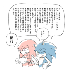 Size: 822x822 | Tagged: safe, artist:sk_rokuro, knuckles the echidna, sonic the hedgehog, echidna, hedgehog, annoyed, clenched fists, dialogue, duo, japanese text, lidded eyes, looking at viewer, mouth open, one eye closed, simple background, smile, speech bubble, standing, thumbs up, white background, wink