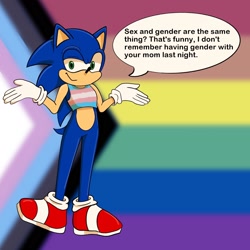 Size: 1648x1648 | Tagged: safe, artist:wxster1a, sonic the hedgehog, hedgehog, binder, dialogue, gloves, headcanon, implied sex, implied straight, looking at viewer, pride, pride flag background, progress pride, raised eyebrow, shoes, smile, socks, solo, standing, trans boy sonic, trans male, trans pride, transgender