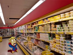 Size: 2048x1528 | Tagged: safe, artist:teamsea3on, antoine d'coolette, coyote, antoine's uniform, hands on own head, indoors, kneeling, margarine, mouth open, photographic background, shop, solo, sonic characters walking into stores