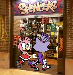 Size: 1758x1808 | Tagged: safe, artist:mykell cube, amy rose, blaze the cat, cat, hedgehog, amy x blaze, amy's halterneck dress, blaze's tailcoat, blushing, duo, lesbian, looking at them, mouth open, shipping, shirt, shop, smile, sonic characters walking into stores, storefront, text, walking