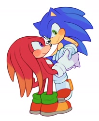 Size: 1249x1525 | Tagged: safe, artist:mossan315, knuckles the echidna, sonic the hedgehog, echidna, hedgehog, carrying them, frown, gay, holding hands, knuxonic, looking at each other, looking at them, shipping, simple background, smile, standing, white background
