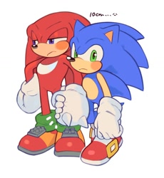 Size: 1078x1173 | Tagged: safe, artist:mossan315, knuckles the echidna, sonic the hedgehog, echidna, hedgehog, duo, frown, full body, gay, height difference, holding hands, knuxonic, lidded eyes, looking at viewer, shipping, simple background, white background