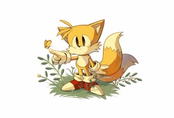 Size: 1024x697 | Tagged: safe, artist:ombeo_o, miles "tails" prower, fox, butterfly, child, classic style, holding out finger, simple background, solo, standing, white background