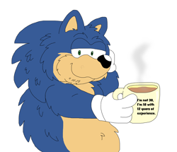 Size: 3288x2832 | Tagged: safe, artist:toonidae, sonic the hedgehog, hedgehog, holding something, lidded eyes, looking at viewer, mug, simple background, solo, white background