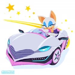 Size: 1958x1958 | Tagged: safe, artist:uno yuuji, sonic twitter, rouge the bat, bat, car, official artwork, simple background, solo, star (symbol), team sonic racing, white background