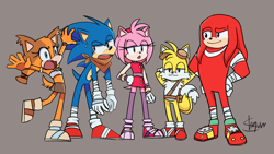 Size: 1920x1080 | Tagged: safe, artist:shgurr, amy rose, knuckles the echidna, miles "tails" prower, sonic the hedgehog, sticks the badger, badger, echidna, fox, hedgehog, female, grey background, group, male, simple background, sonic boom (tv)