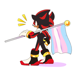 Size: 4216x3904 | Tagged: safe, artist:dirtyteeths, shadow the hedgehog, hedgehog, angry, flag, from behind, gloves, holding something, looking ahead, male, mouth open, neck fluff, pride flag, shoes, simple background, solo, standing, trans male, trans pride, transgender, white background