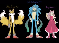 Size: 2048x1496 | Tagged: dead source, safe, artist:mercybhk, amy rose, miles "tails" prower, sonic the hedgehog, oc, oc:villain miles, fox, hedgehog, comic:where was my hero?, aged up, alternate universe, bandage, black background, boots, character name, dress, english text, frown, gloves, kitsune, looking at viewer, mouth open, scarf, shoes, simple background, socks, standing, trio, v sign, youtube link in description