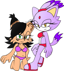 Size: 1045x1173 | Tagged: safe, artist:arung98, blaze the cat, nicole the hololynx, cat, lynx, bikini, duo, female, simple background, transparent background